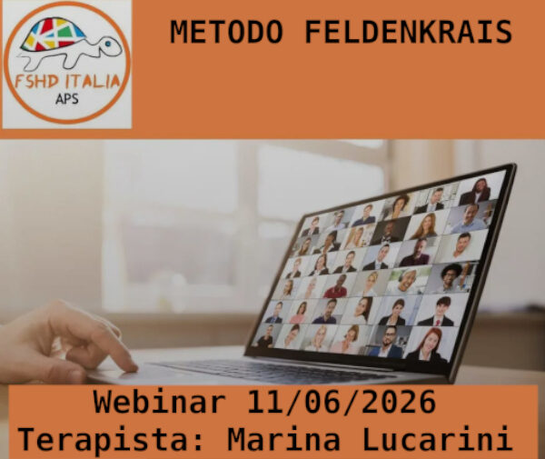 webinar felldenkrais_cover