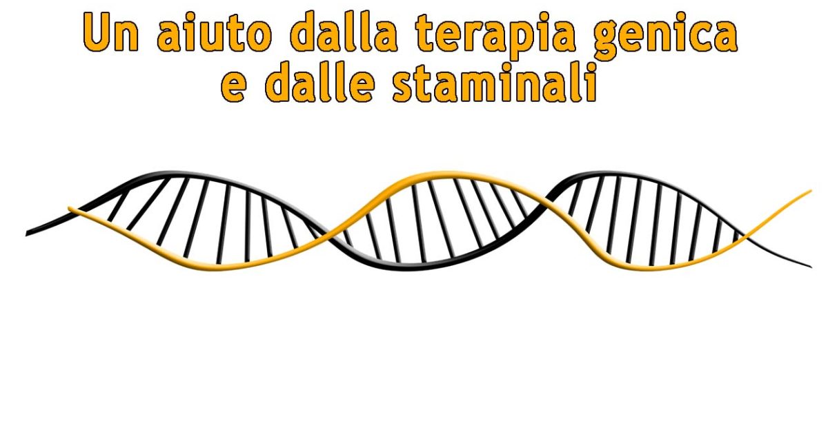 2015-cellule-staminali-evidenza