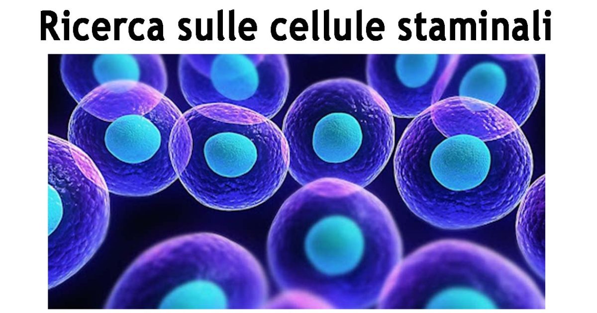 2015-cellulestaminali-evidenza