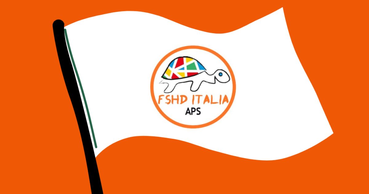 bandiera con logo fshd